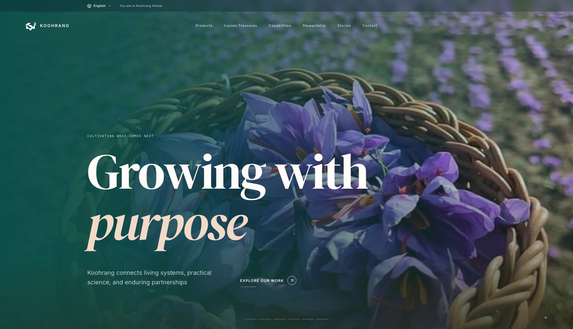 Koohrang homepage